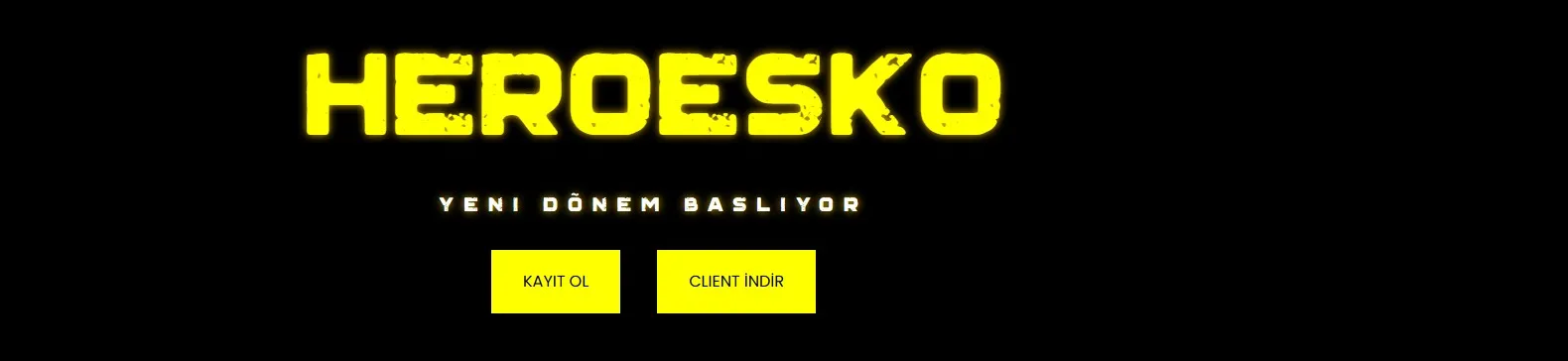 HeroesKO PvP server banner